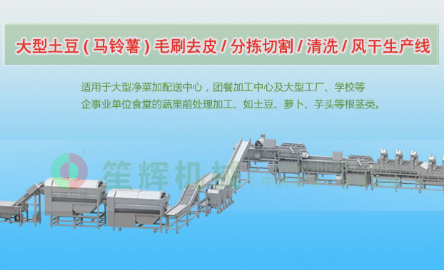 麻章连续式土豆去皮清洗切割风干生产线